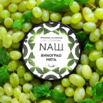 טבק פרמיום - נאש - טבק לנרגילה - Nash