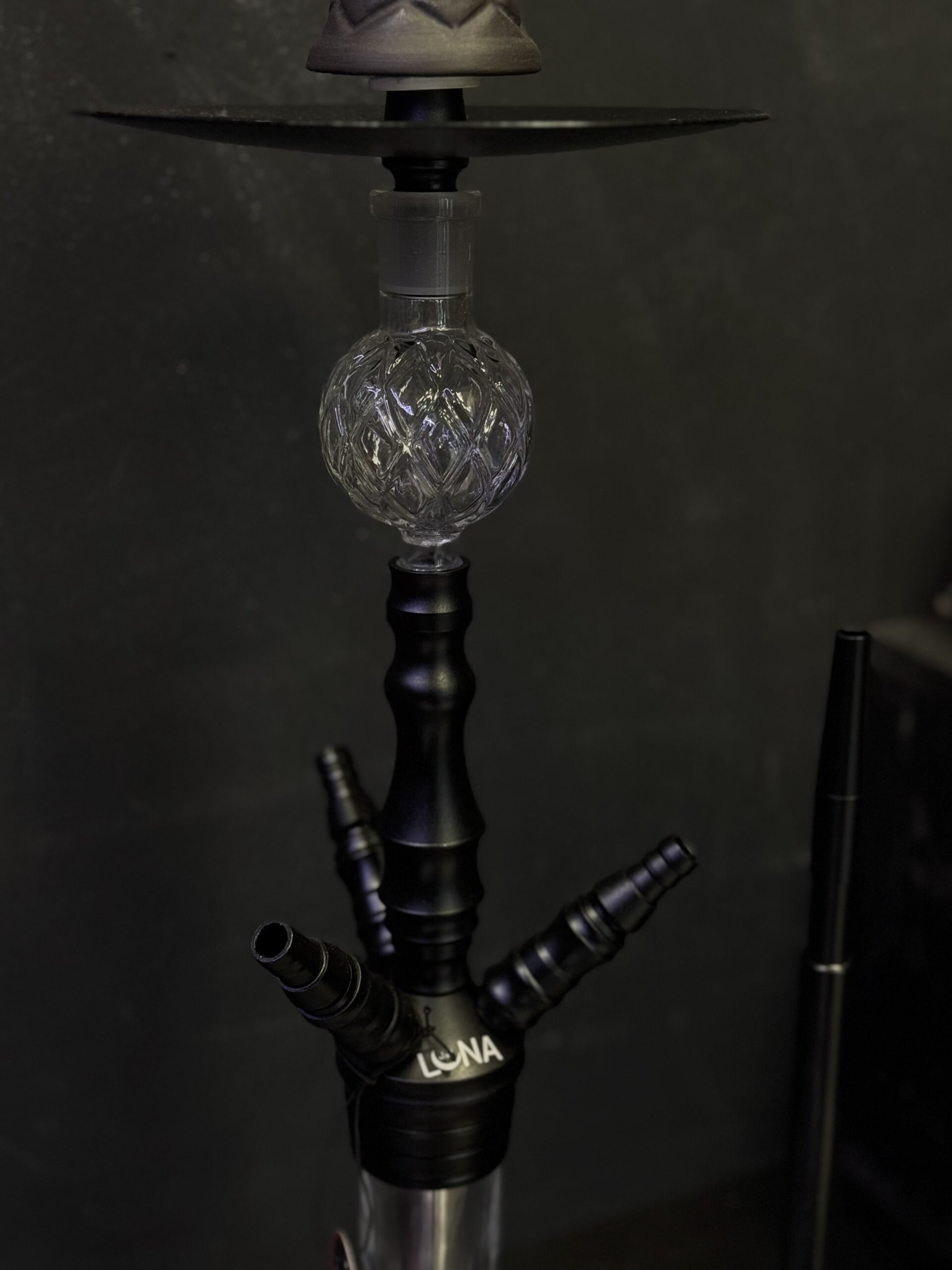 Fruit Ninja - Luna -Black - נרגילה – תמונה 3