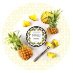 Nash 60g - Pineapple - Hard Line - טבק פרמיום לנרגילה בטעם אננס