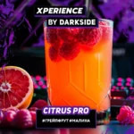 DARKSIDE 60g - XPERIENCE - CITRUS PRO - טבק לנרגילה בטעם מיץ אשכוליות ופטל