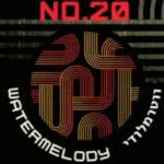 TECHNO NO.20 Watermelody – תערובת תה לנרגילה בטעם אבטיח מלון אייס