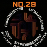 TECHNO NO.29 Blueberry Mint Strawberry Grapefruit – תערובת תה לנרגילה בטעם אוכמניות מנטה אשכוליות תות