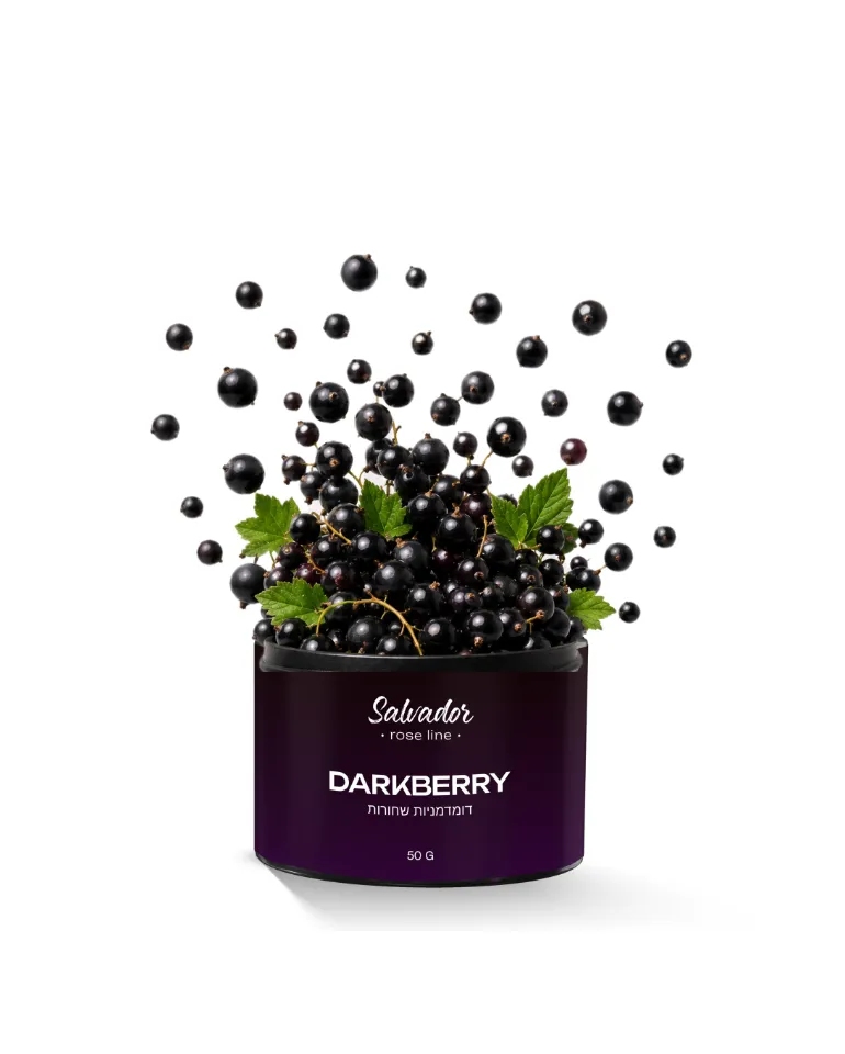 Salvador – Rose Line – 50g – Darkberry - תערובת תה לנרגילה בטעם דומדמניות שחורות
